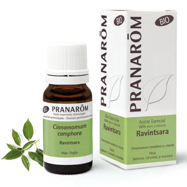 ACEITE ESENCIAL REVINTSARA BIO 10 ML