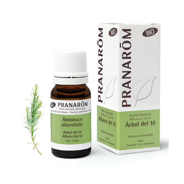 NATURLIDER ACEITE ESENCIAL ARBOL DEL TE BIO 10 ML