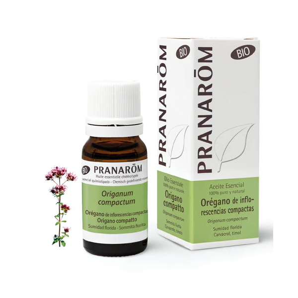 ACEITE ESENCIAL DE OREGANO INFLORESCENCIAS BIO 10 ML